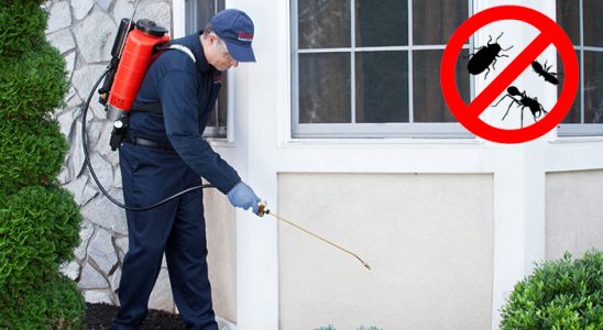 Muratpaşa Fare İlaçlama böcek ilaçlama ve haşere kontrolü — ilaclama-tr.com